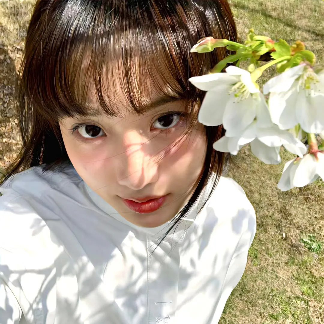 杨光的夏天